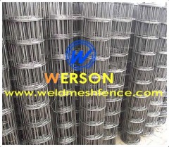 Hot Dipped Galvanized Welded Wire Mesh