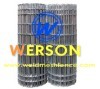 Electro Galvanized Welded Wire Mesh From Werson Security Fencing System