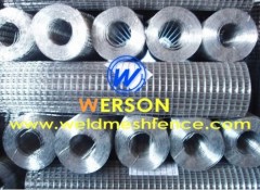 Electro Galvanized Welded Wire Mesh From Werson Security Fencing System