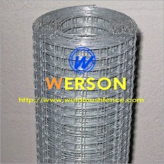 Electro Galvanized Welded Wire Mesh From Werson Security Fencing System