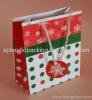 2011 new paper gift bag