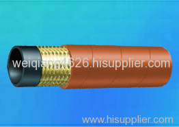 Steam Hose