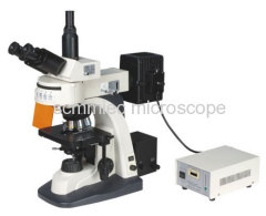 fluorescence microscope