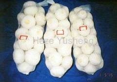 fresh garlic from China