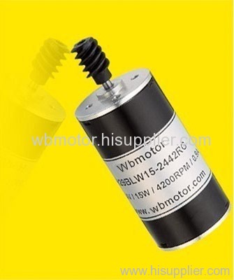 12 Volt 29MM Micro Speed Brushless DC Motor Controllor