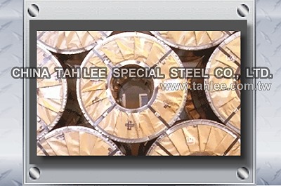 China Tah Lee Special Steel Co., Ltd.