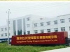 Cangzhou Flying Dragon Auto Parts Co., Ltd