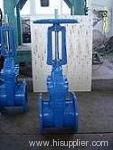 gate valve