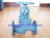 globe valve