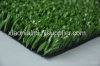 Artificial Grass