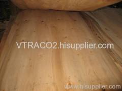 Core Veneer From Vietnam