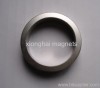 Nickle ring Neodymium Magnets