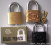 Globe Brand Padlock