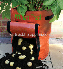 Potato patio planter bag
