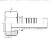 hydraulic hose fittings