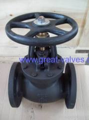 globe valve