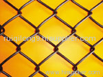 Chain link fence