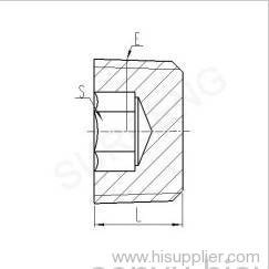 BSPT MALE HOLLOW HEX PLUG