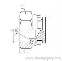 BSP FEMALE 60°CONE PLUG