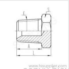 NPT MALE PLUG