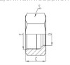 Carbon Steel NUTs