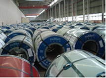 SUS316L stainless steel coil