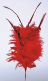 Feather Fascinator