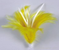 Feather Fascinator