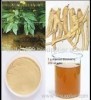 Ginseng Root Extract 80% Ginsenosides