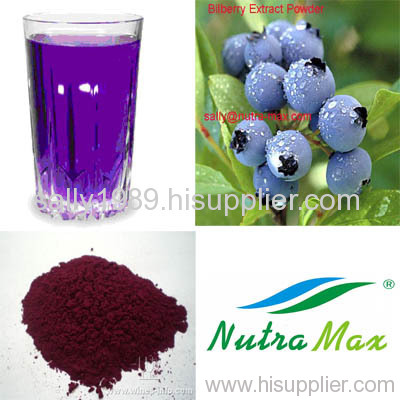 Bilberry Extract 25% Anthocyanidins