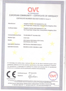 CE Certificate for crane scales