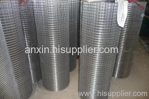 Galvanized Welded Wire Mesh Rolls