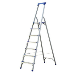 ladder scaffold