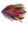 colorful Feather pad