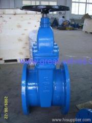 gate valve