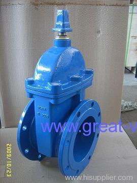 gate valve