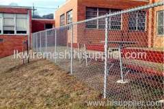 Galvanized Chain Link Fence