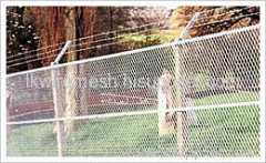 Green Color Coated Expanded Metal Fence