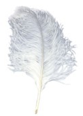 Ostrich Feather Bundled