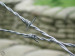 anping factory supply barbed wire