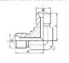 BSP Thead 60'' cone adapter (eblow)