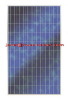 Polycrystalline Solar Panel