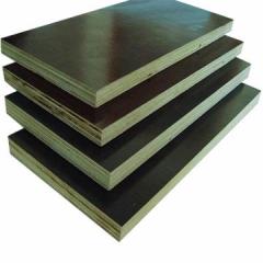 Brown Film Faced Plywood