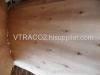 Eucalyptus Core Veneer From Vietnam