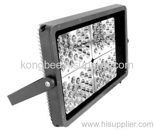 LED Outdoor Light