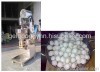 Fish Ball Forming Machine