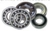 Deep Groove Ball Bearing