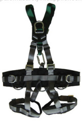 professional fall arrest harness