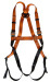 safety harness with carabiner