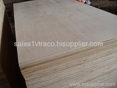 Acasia plywood